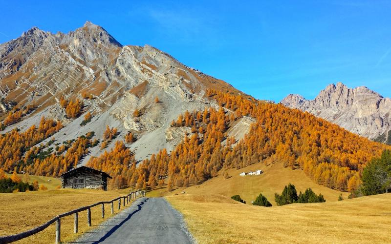 la-bresaola-valtellina